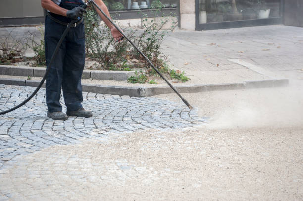 Best Roof Washing  in Artesia, CA